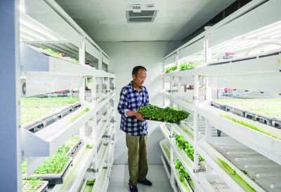 浦口節(jié)水型育苗技術(shù)實(shí)現(xiàn)突破，節(jié)水率達(dá)50%并啟動(dòng)全國(guó)推廣與技術(shù)轉(zhuǎn)讓